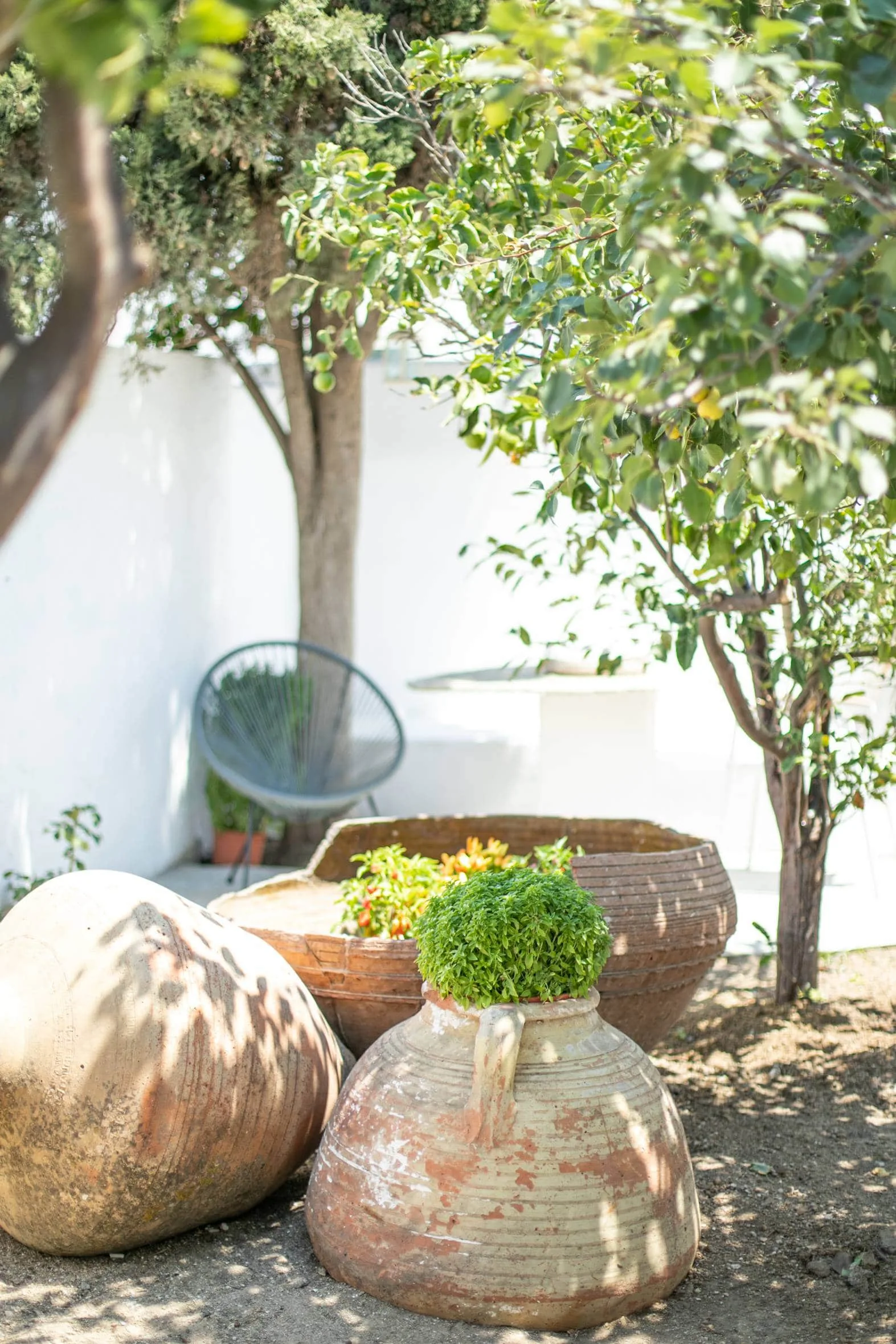 Terracotta pots and hanging chair beneath the trees